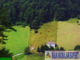 teren-intravilan-2632-mp-de-vanzare-in-valea-urdii-dambovicioara-arges