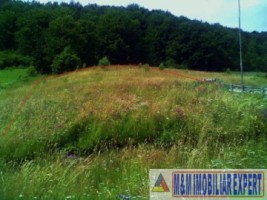 teren-intravilan-2632-mp-de-vanzare-in-valea-urdii-dambovicioara-arges-1