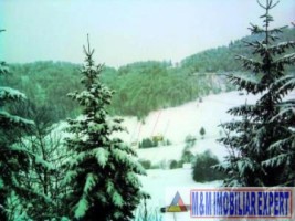 teren-intravilan-2632-mp-de-vanzare-in-valea-urdii-dambovicioara-arges-3