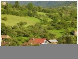vila-12-camere-teren-2500-mp-de-vanzare-in-bran-brasov-8