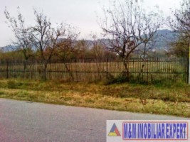 teren-intravilan-4500-mp-de-vanzare-stalpeni-arges-pentru-proiecte-rezidentiale-sau-turistice-1