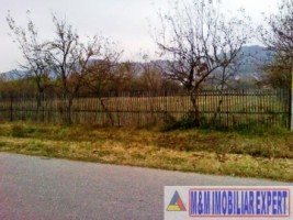 teren-intravilan-4500-mp-de-vanzare-stalpeni-arges-pentru-proiecte-rezidentiale-sau-turistice-3