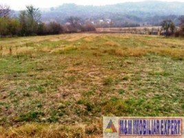 teren-intravilan-4500-mp-de-vanzare-stalpeni-arges-pentru-proiecte-rezidentiale-sau-turistice-5