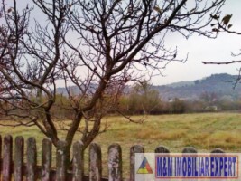 teren-intravilan-4500-mp-de-vanzare-stalpeni-arges-pentru-proiecte-rezidentiale-sau-turistice-6