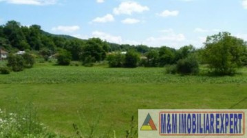 vand-teren-intra-extravilan-7800-mp-mihaesti-arges