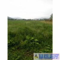 teren-intravilan-4000-mp-de-vanzare-in-domnesti-arges