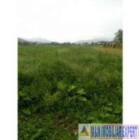teren-1000-mp-intravilan-domnesti-arges-1