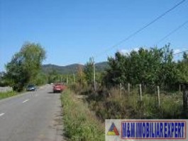 teren-extravilan-2244-mp-de-vanzare-in-domnesti-arges