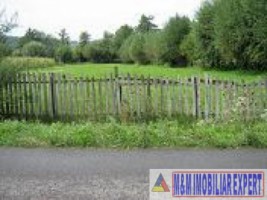 teren-extravilan-2244-mp-de-vanzare-in-domnesti-arges-1