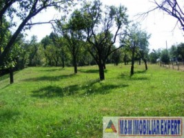 teren-2700-mp-intravilan-bughea-de-jos
