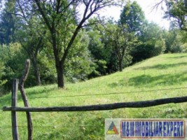 teren-2700-mp-intravilan-bughea-de-jos-1