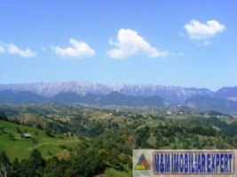 teren-2700-mp-intravilan-bughea-de-jos-3