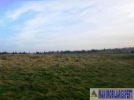 teren-25-ha-intravilan-bughea-de-jos