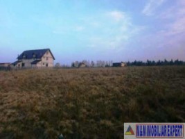 teren-25-ha-intravilan-bughea-de-jos-2