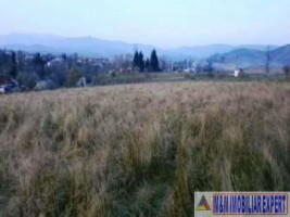 teren-25-ha-intravilan-bughea-de-jos-5