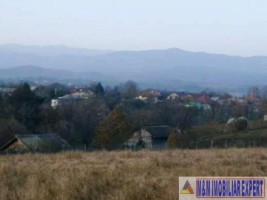 teren-25-ha-intravilan-bughea-de-jos-7