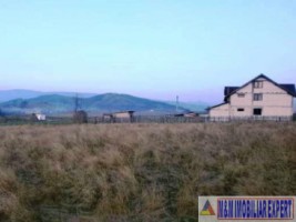 teren-25-ha-intravilan-bughea-de-jos-8