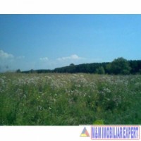 teren-intravilan-2821-mp-de-vanzare-in-noaptes-arges
