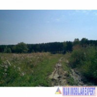 teren-intravilan-2821-mp-de-vanzare-in-noaptes-arges-4