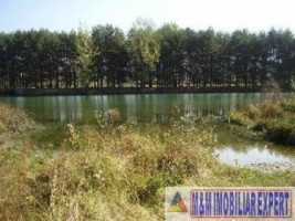 teren-intravilan-2821-mp-de-vanzare-in-noaptes-arges-5