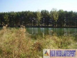 teren-intravilan-2821-mp-de-vanzare-in-noaptes-arges-6