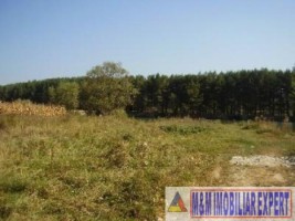 teren-intravilan-2821-mp-de-vanzare-in-noaptes-arges-2