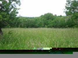 teren-intravilan-de-3100-mp-cu-deschidere-de-42-m-ideal-pentru-constructii-rezidentiale-situat-in-valea-mare-pravat-arges