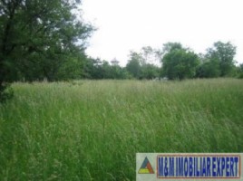 teren-intravilan-de-3100-mp-cu-deschidere-de-42-m-ideal-pentru-constructii-rezidentiale-situat-in-valea-mare-pravat-arges-1