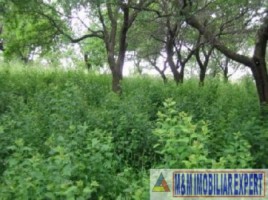 teren-intravilan-de-3100-mp-cu-deschidere-de-42-m-ideal-pentru-constructii-rezidentiale-situat-in-valea-mare-pravat-arges-2