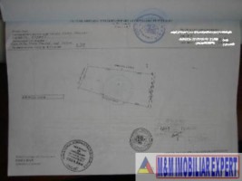 teren-intravilan-de-3100-mp-cu-deschidere-de-42-m-ideal-pentru-constructii-rezidentiale-situat-in-valea-mare-pravat-arges-3