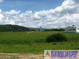 teren-3600-mp-intravilan-campulung-muscel-grui-arges-5