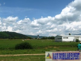 teren-3600-mp-intravilan-campulung-muscel-grui-arges-6
