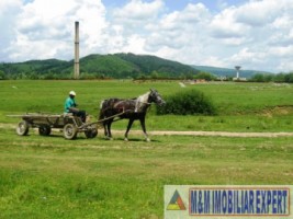 teren-3600-mp-intravilan-campulung-muscel-grui-arges-7