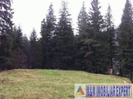 teren-intravilan-1020-mp-de-vanzare-in-predeal-brasov