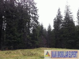 teren-intravilan-1020-mp-de-vanzare-in-predeal-brasov-1