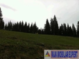 teren-intravilan-1020-mp-de-vanzare-in-predeal-brasov-3