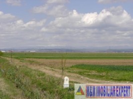 teren-284-ha-extravilan-de-vanzare-in-bratesti-dambovita