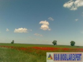 teren-284-ha-extravilan-de-vanzare-in-bratesti-dambovita-1