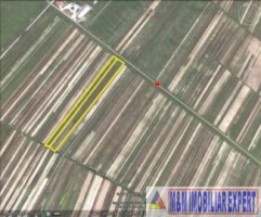 teren-284-ha-extravilan-de-vanzare-in-bratesti-dambovita-2