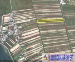 teren-284-ha-extravilan-de-vanzare-in-bratesti-dambovita-4