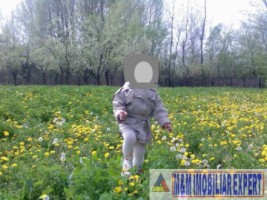 teren-intravilan-2500-mp-de-vanzare-in-albota-arges