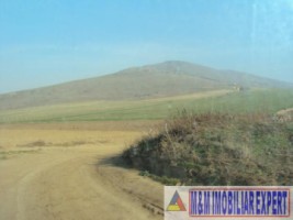 teren-intravilan-1-ha-de-vanzare-in-mahmudia-tulcea-6