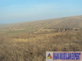 teren-intravilan-1-ha-de-vanzare-in-mahmudia-tulcea-7