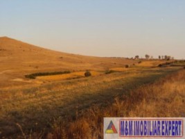 teren-intravilan-1-ha-de-vanzare-in-mahmudia-tulcea-8