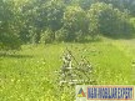 teren-intravilan-4614-mp-in-valea-romanestilor-campulung-muscel-arges