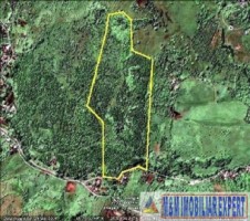 teren-de-vanzare-147-ha-livada-in-valea-romanestilor-campulung-muscel-arges