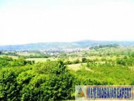 teren-de-vanzare-147-ha-livada-in-valea-romanestilor-campulung-muscel-arges-1