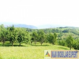 teren-de-vanzare-147-ha-livada-in-valea-romanestilor-campulung-muscel-arges-3