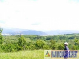 teren-de-vanzare-147-ha-livada-in-valea-romanestilor-campulung-muscel-arges-4