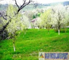 teren-3000-mp-intravilan-campulung-muscel-valea-romanestilor-arges-2